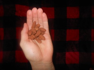 Cocoa dusted almonds are an excellent option for anyone with a sweet tooth.